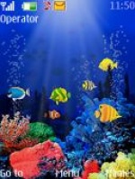 Theme s40 cá bơi ngay trên màn hình đẹp lung linh